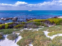 Simon's Town, Boulders Beach
